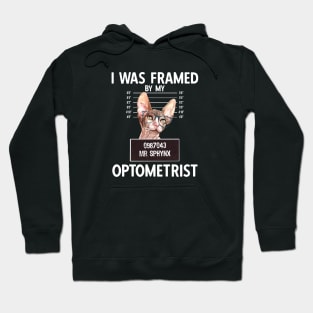 I Was Framed By My Optometrist Hoodie